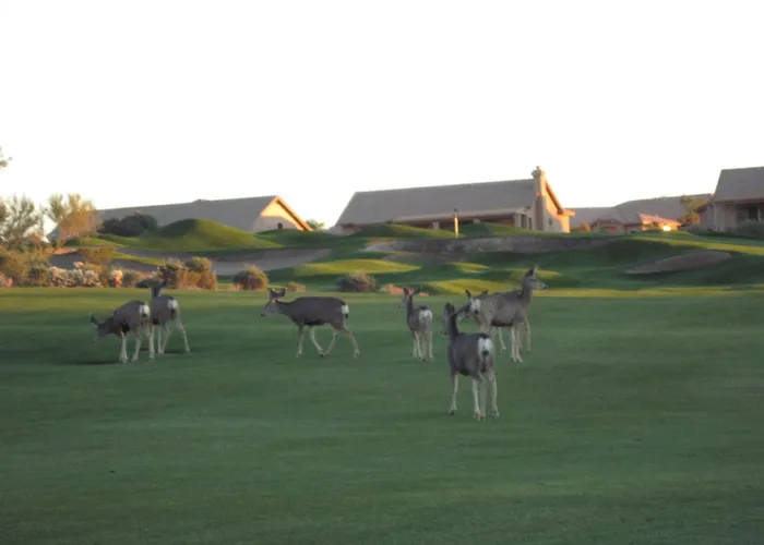 Golf Resort Gold Canyon